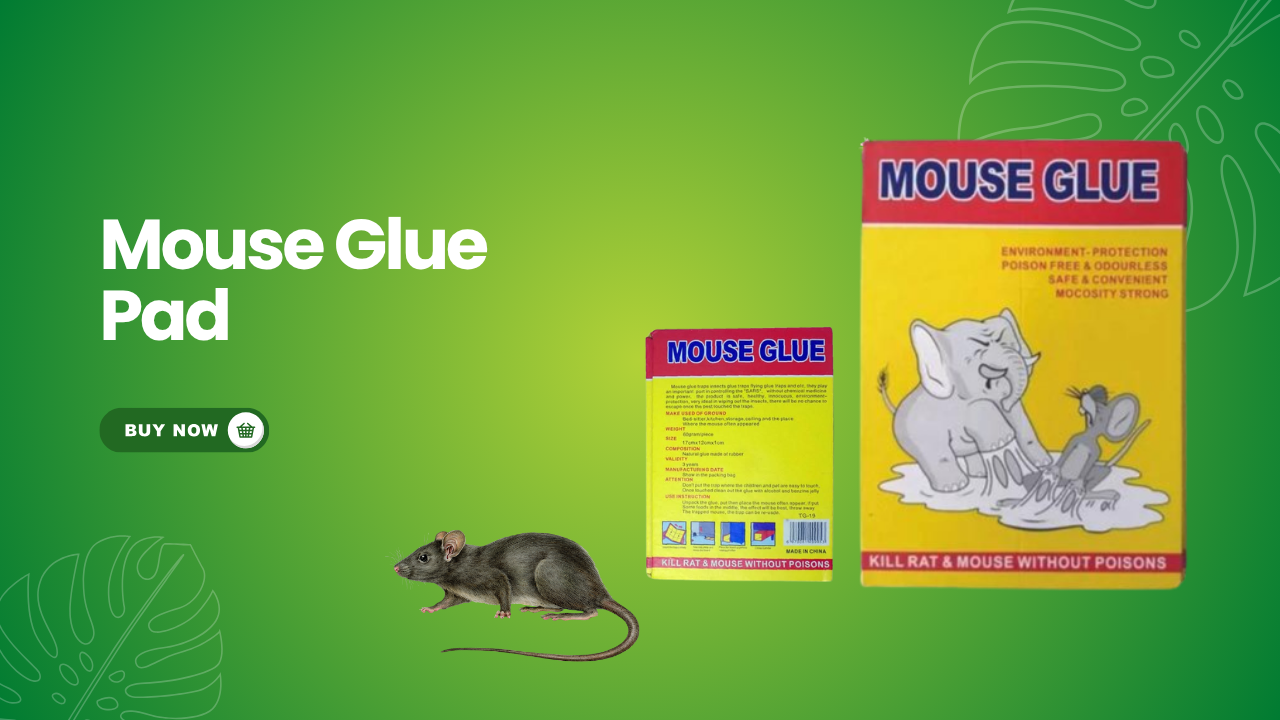 Best Deals Online promo